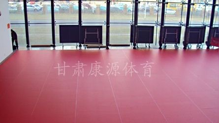兰州中科院中学[乒乓球运动地板]